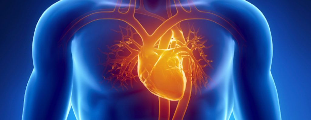 Acupuncture & Chinese Herbal medicine for cardiovascular disease