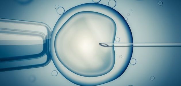 Ferntree Gully Acupuncture IVF support
