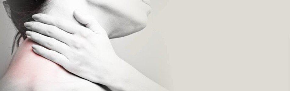 banner1-980x300 banner1-980x300