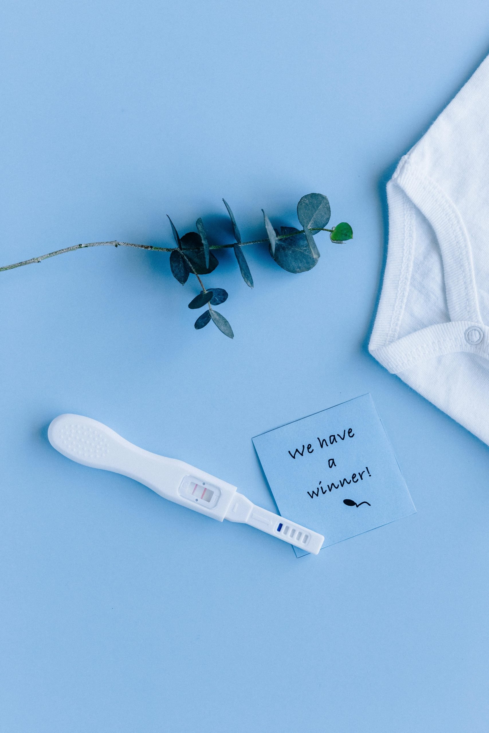 IVF Support